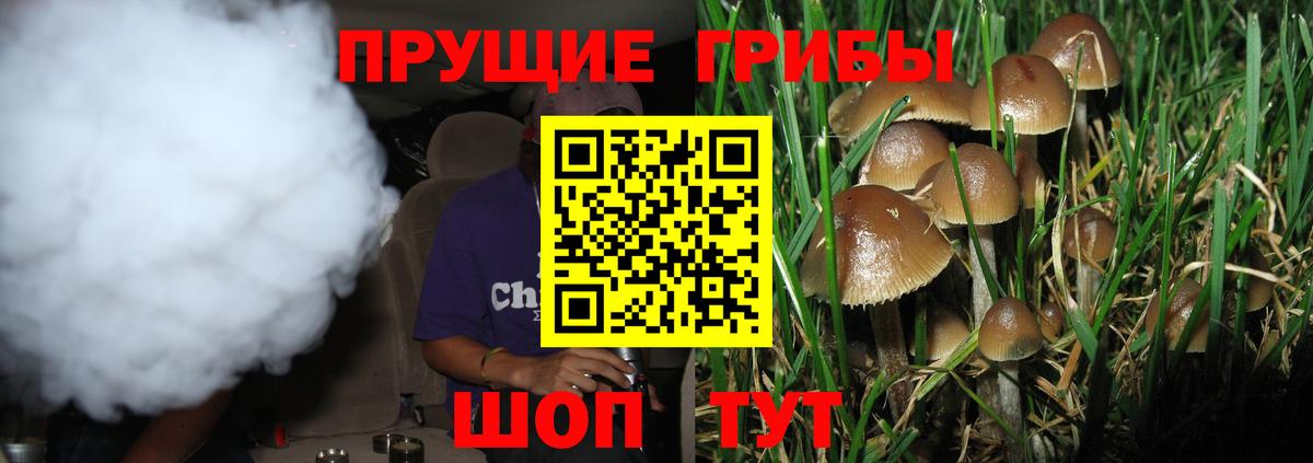 Зима  Галлюциногенные грибы Magic Shrooms  Вход с VPN 