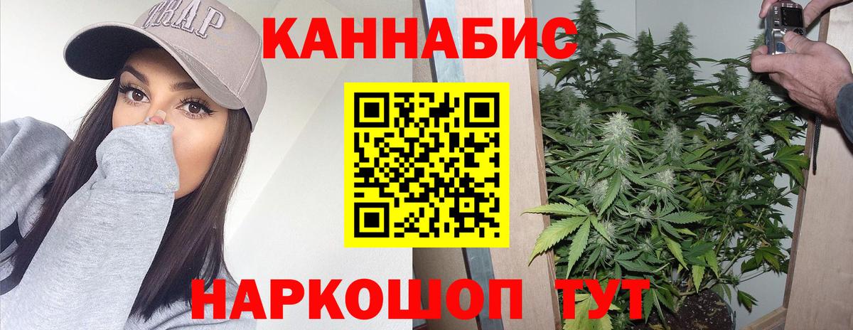 Зима  МАРИХУАНА план  Вход с VPN  Шишки марихуана OG Kush 